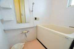 バスルームの様子。壁にはシャンプー等を部屋ごとに置ける棚が付いています。(2012-06-07,共用部,BATH,5F)