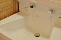 洗面台の洗い場は大きめサイズ。(2013-09-24,共用部,OTHER,1F)