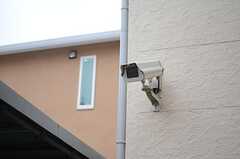 ここにも防犯カメラが設置されています。(2013-02-15,共用部,OTHER,1F)