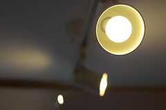 照明はアレンジしやすいダクトレールのタイプ。（205室）(2013-02-15,専有部,ROOM,2F)