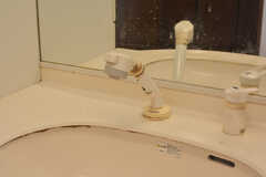 洗面台はシャワー水栓。(2022-09-16,共用部,WASHSTAND,1F)