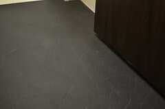  脱衣室の床は石のようなマットな素材。 (2014-03-04,共用部,BATH,1F)