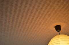 天井は網代風の壁紙。（304号室）(2013-05-20,専有部,ROOM,3F)