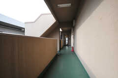 廊下の様子。(2011-12-21,共用部,OTHER,3F)