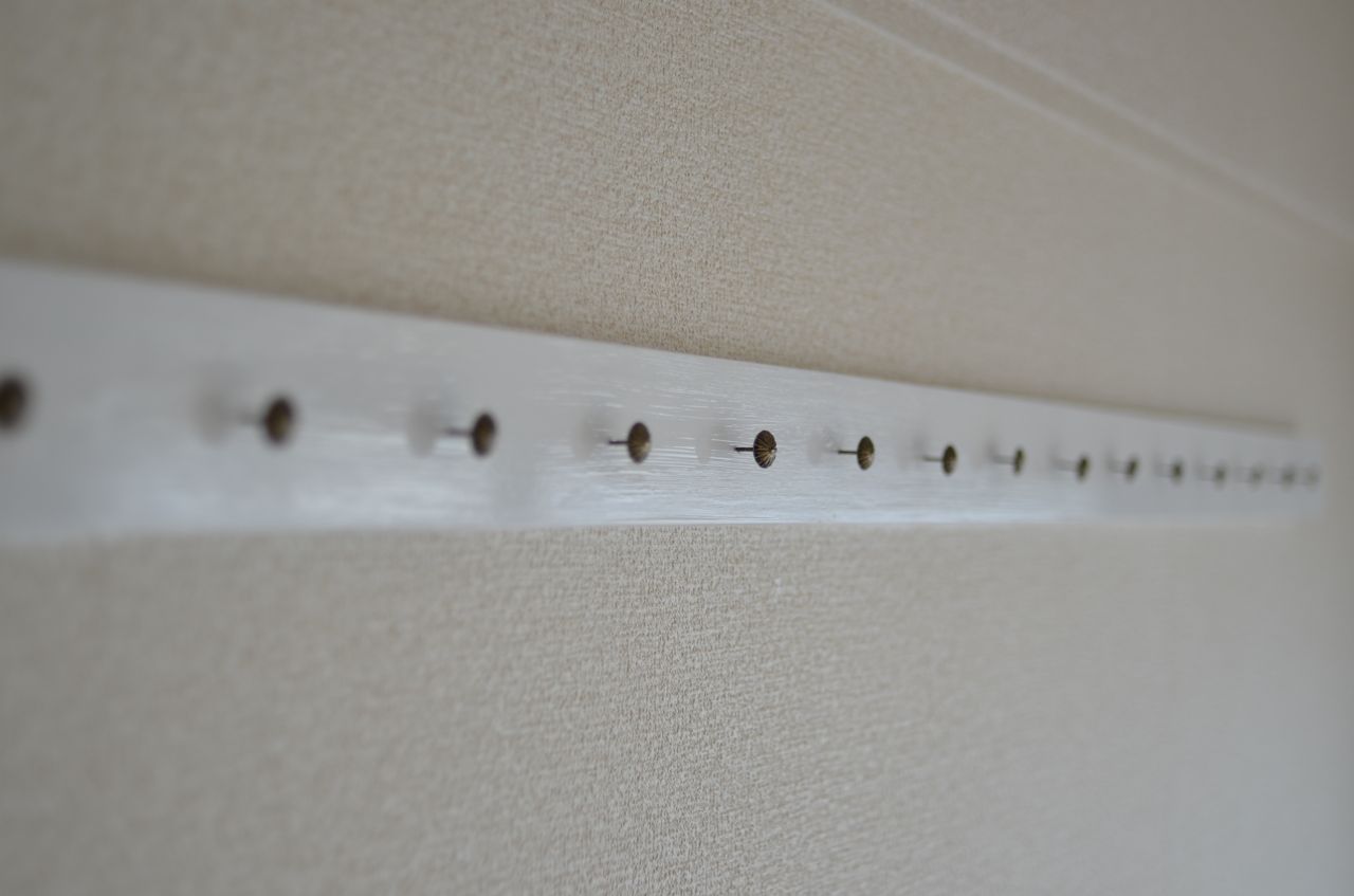 アクセサリーを掛けられるようになっています。（308号室）(2011-12-21,専有部,ROOM,3F)