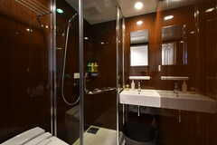 シャワールームと洗面台の様子。（102号室）(2021-03-11,専有部,ROOM,1F)