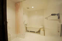 バスルームの様子。(2011-02-23,共用部,BATH,1F)