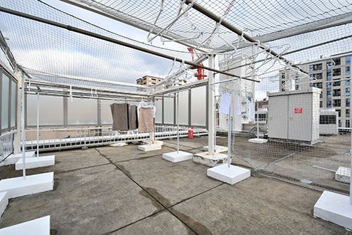 屋上の様子2。ネットで囲まれた内側が洗濯物を干せるスペースです。