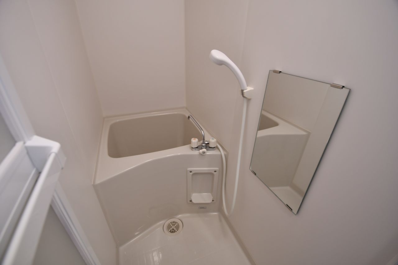 バスルームの様子。(2022-03-10,共用部,BATH,2F)