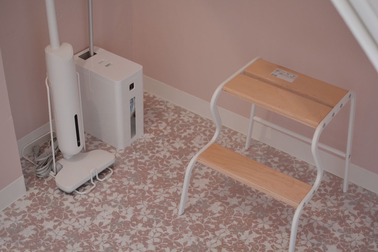 ステップや掃除機は自由に使用できます。(2022-03-10,共用部,OTHER,1F)