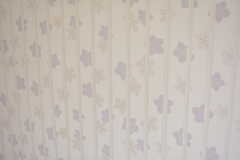 壁紙は花柄。（105号室）(2022-03-10,専有部,ROOM,1F)