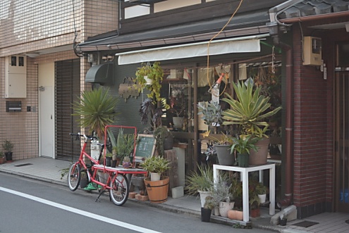 近所にあるカレー屋さん「森林食堂」。(2015-03-17,共用部,ENVIRONMENT,1F)