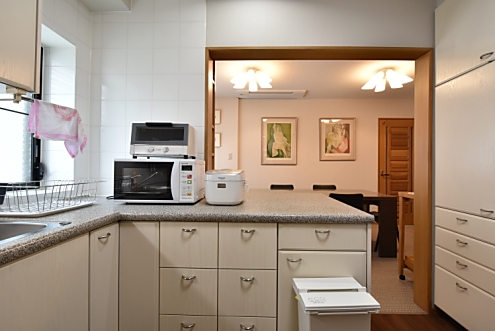 カウンターテーブルの様子。(2016-04-19,共用部,KITCHEN,2F)