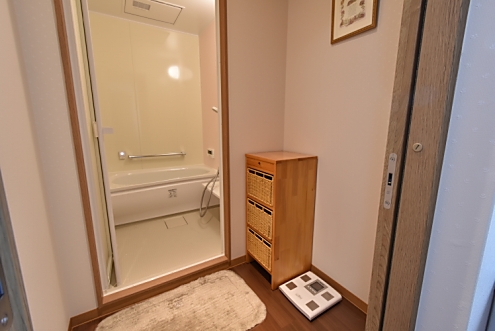 バスルームの脱衣室の様子。(2016-04-19,共用部,BATH,2F)