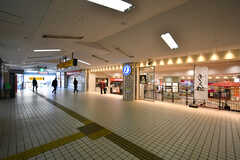 駅直結の「エル大和田」には、飲食店やドラッグストアなどが入っています。(2021-12-15,共用部,ENVIRONMENT,1F)