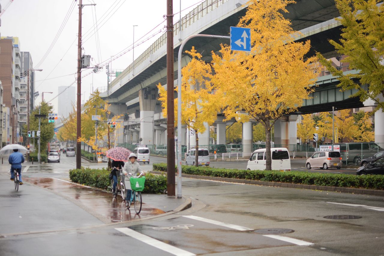 大通りに植わっているイチョウが綺麗です。(2017-11-14,共用部,ENVIRONMENT,1F)