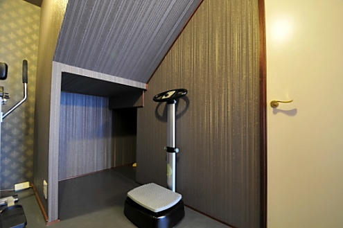乗ってスイッチを入れると、足下がブルブル振動するのだそう。(2011-05-29,共用部,OTHER,7F)