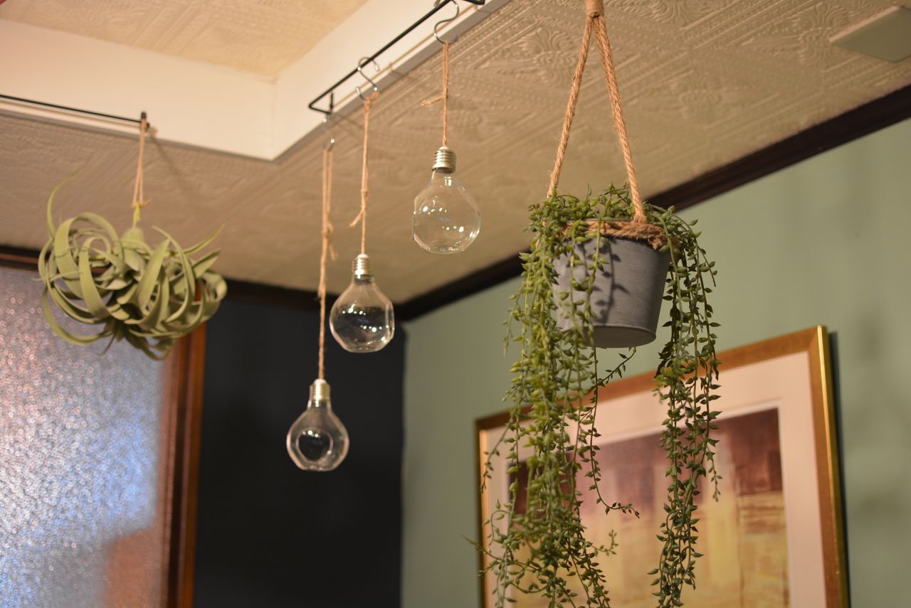 植物が吊り下げられています。(2019-01-17,共用部,LIVINGROOM,1F)