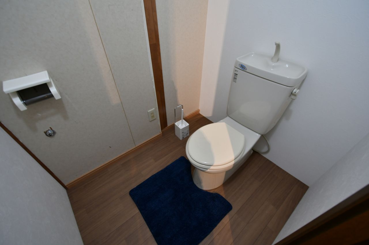 トイレの様子。(2019-01-17,共用部,TOILET,1F)
