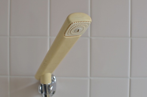 シャワーヘッドの様子。(2013-04-30,共用部,BATH,3F)
