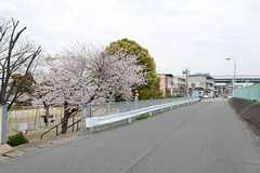 シェアハウスから阪神なんば線・出来島駅へ向かう道の様子。(2013-04-01,共用部,ENVIRONMENT,1F)