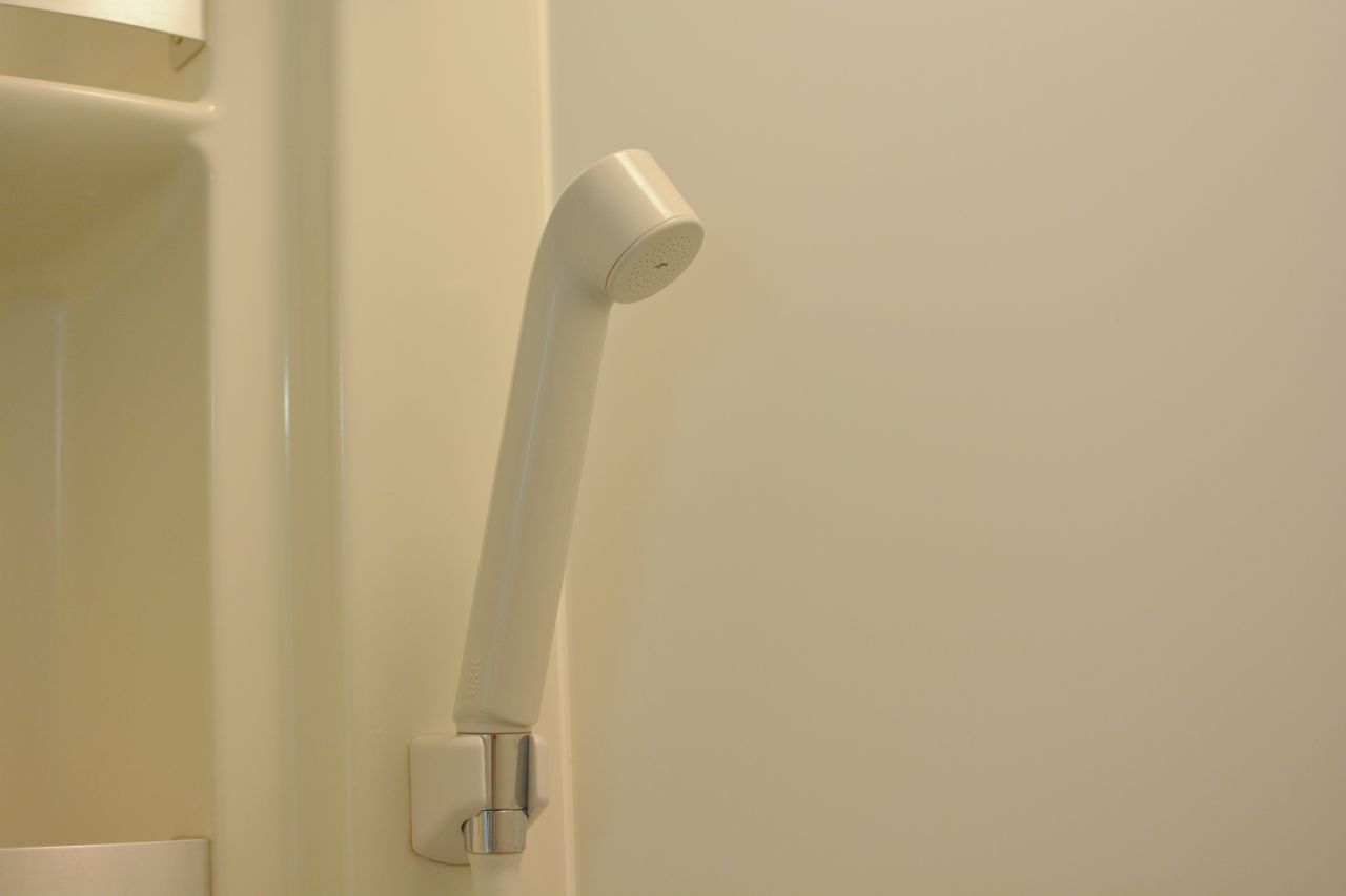 シャワーヘッドの様子。(2015-09-01,共用部,BATH,1F)