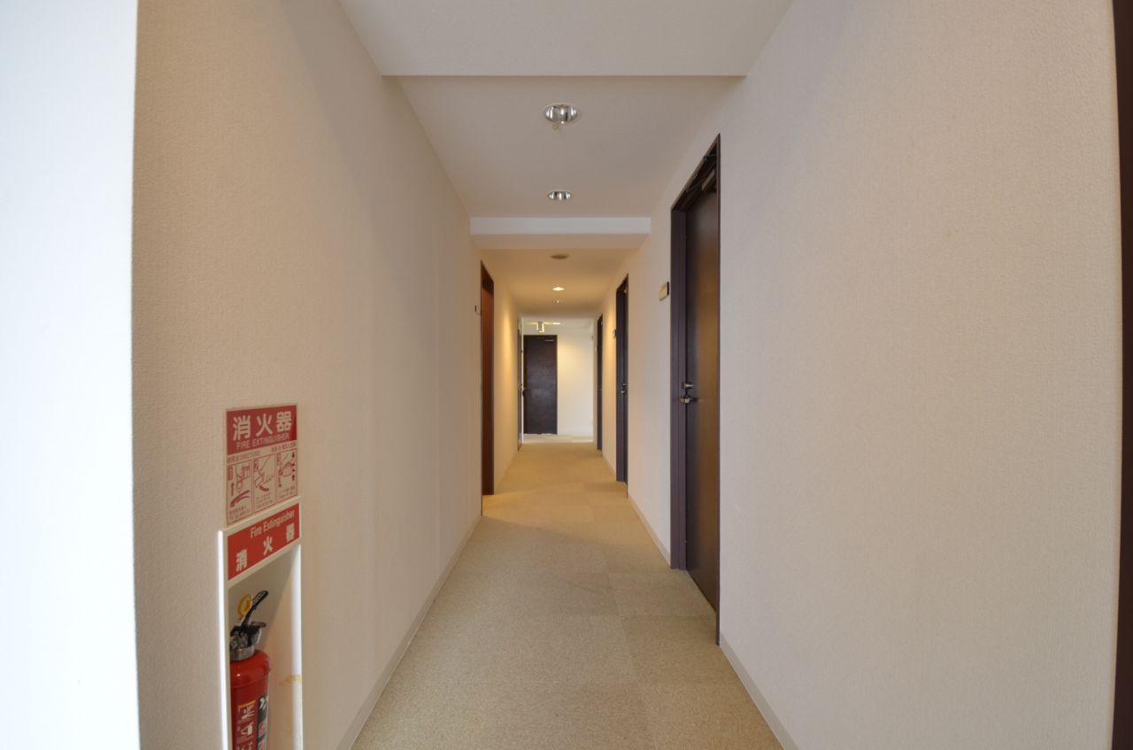 廊下の様子2。(2015-09-01,共用部,OTHER,4F)