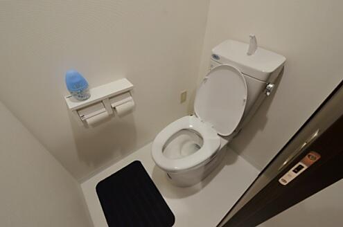 トイレの様子。（朱-AKA）(2014-05-16,共用部,TOILET,6F)