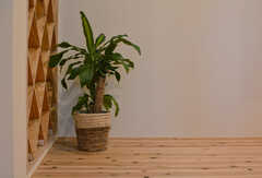 植物が飾られています。(2022-04-01,共用部,LIVINGROOM,1F)