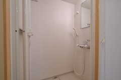 シャワールームの様子2。(2022-04-01,共用部,BATH,2F)