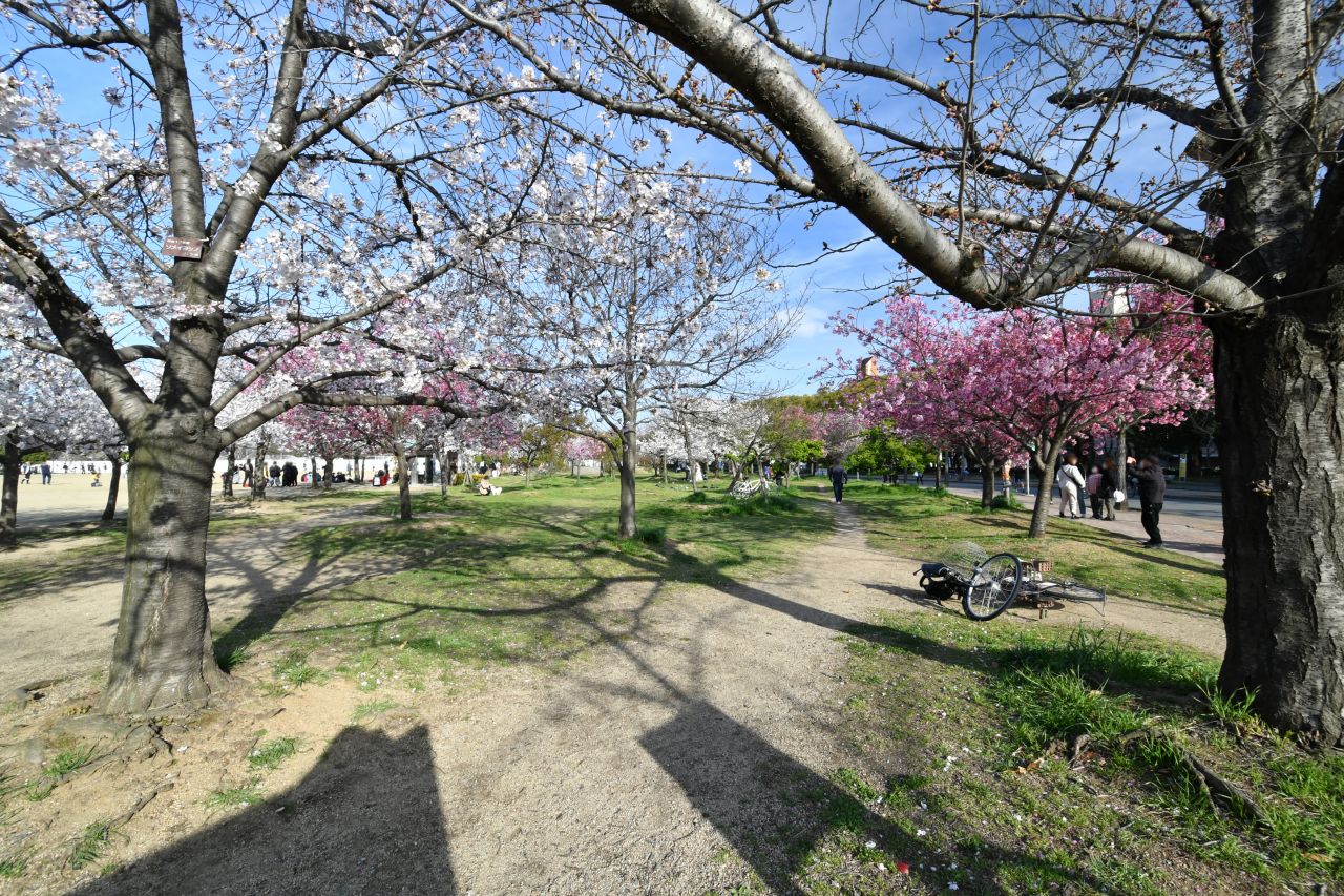 長居公園の様子2。(2022-04-01,共用部,ENVIRONMENT,1F)
