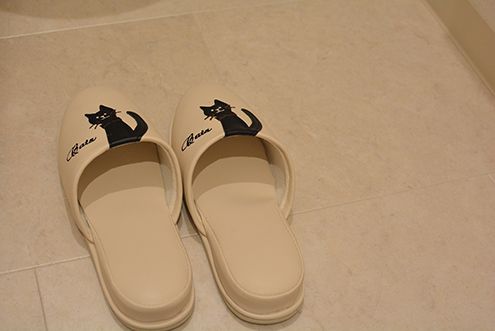 黒猫が2匹。(2016-11-14,共用部,TOILET,1F)