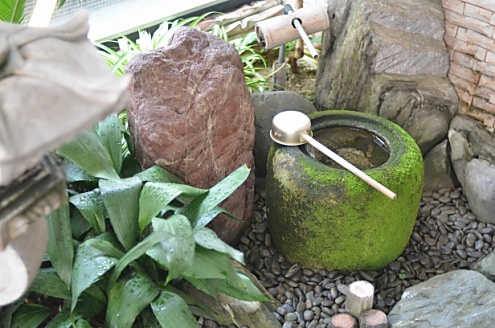 苔むしています。(2013-05-21,周辺環境,ENTRANCE,1F)