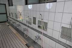 シャワーが並んでいます。(2013-05-21,共用部,BATH,1F)