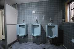 男性用トイレの様子2。(2013-05-21,共用部,TOILET,1F)