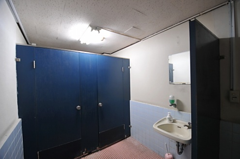 女性用トイレの様子。(2013-05-21,共用部,TOILET,1F)