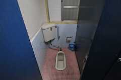 女性用トイレの様子2。(2013-05-21,共用部,TOILET,1F)