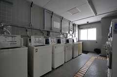 ランドリールームの様子。洗濯機はコイン式です。(2013-05-21,共用部,LAUNDRY,4F)