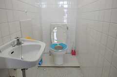 トイレの様子。手洗い場付きです。(2013-09-12,共用部,TOILET,1F)