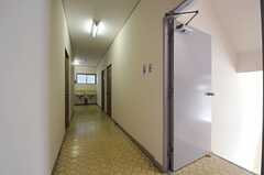 廊下の様子2。突き当りにトイレがあります。(2013-09-12,共用部,OTHER,2F)