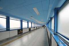 海遊館の最寄り駅で、渡り廊下が水族館のようなペイントになっています。(2013-08-23,共用部,ENVIRONMENT,6F)