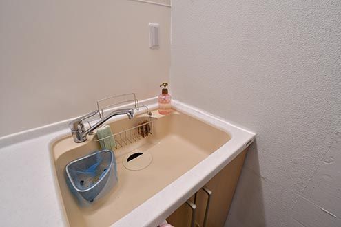 シンクの様子。(2017-03-29,共用部,KITCHEN,4F)