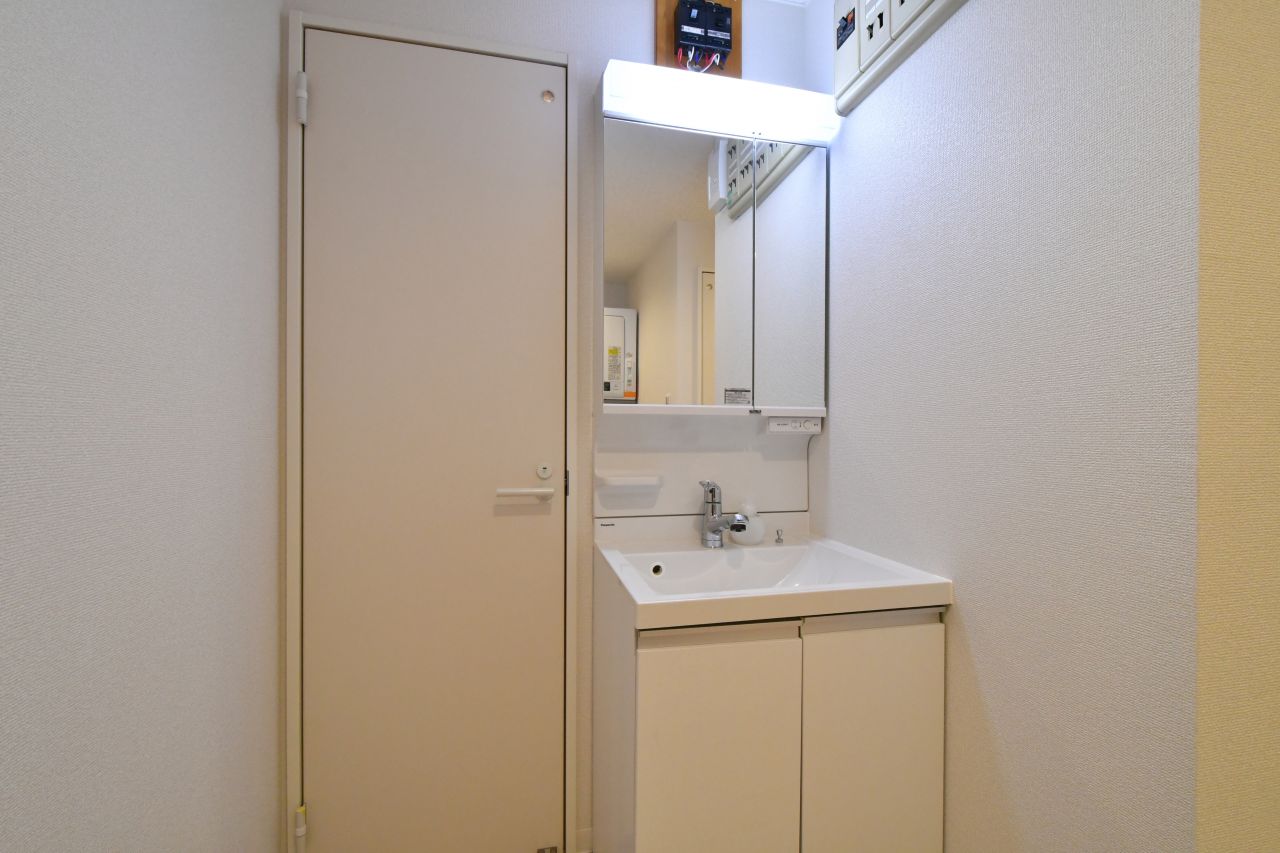 洗面台の様子。左手のドアはトイレです。(2022-11-23,共用部,WASHSTAND,2F)