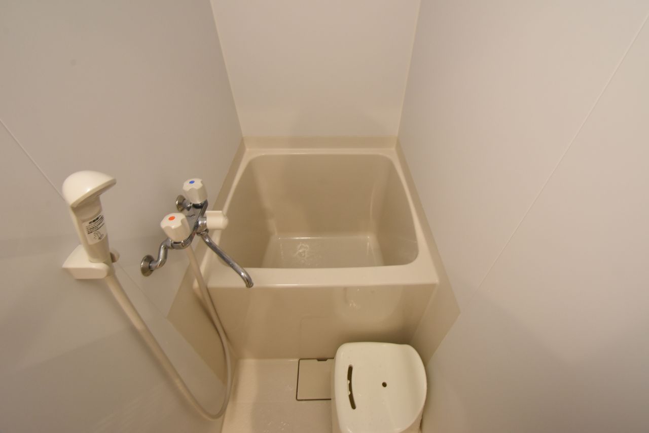 バスルームの様子。(2016-05-25,共用部,BATH,2F)