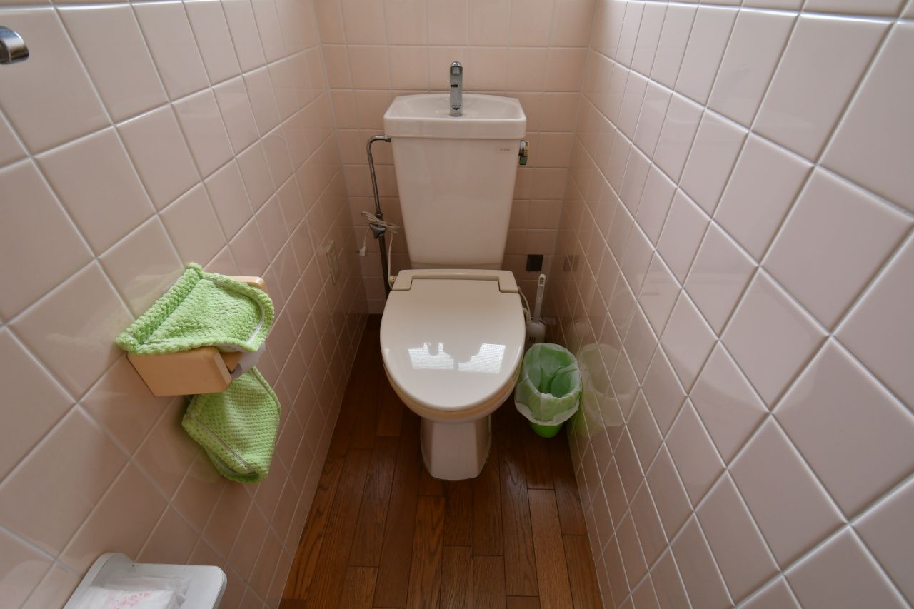 トイレの様子。(2018-09-25,共用部,OTHER,2F)