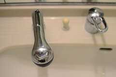 洗面台はシャワー水栓です。(2014-04-07,共用部,OTHER,5F)