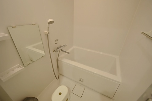 バスルームの様子。(2016-02-15,共用部,BATH,1F)