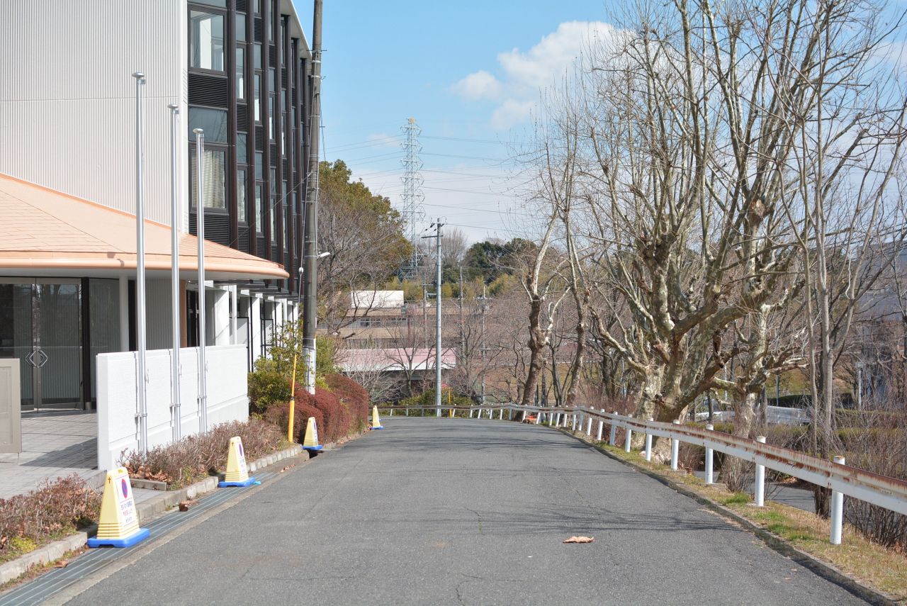 目の前の道は私道のようになっていて、一般の車両はほとんど入ってきません。|1F その他