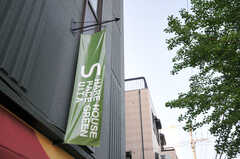 建物の前には青々と茂るツリー。(2012-02-04,共用部,OTHER,1F)