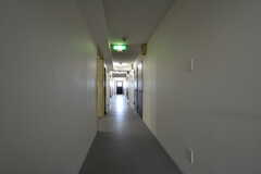 廊下の様子。(2022-06-29,共用部,OTHER,1F)
